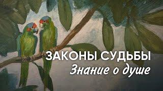Древние знания | Рашид Муслимов в прямом эфире!