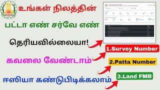 find land survey number | download land patta online | Tricky world