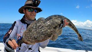 How to target LARGE Flathead | Tips & Tricks