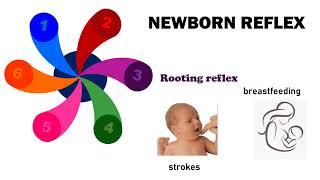 Newborn Reflexes