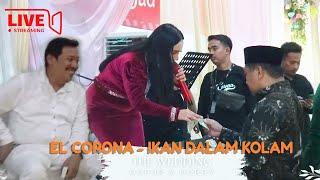 El Corona - Ikan Dalam Kolam | Wedding Gofur & Qorry Live Streaming