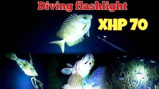 NIGHT SPEARFISHING EPISODE 16 | REVIEW SENTER SELAM