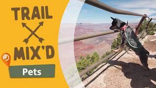 Four legged trail buddies: Hiking with pets | Trail Mix'd | Full episode