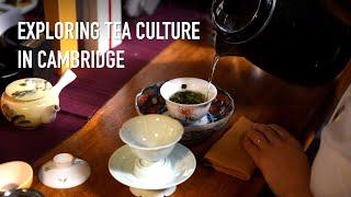 Exploring tea culture in Cambridge