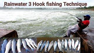 Amazing Fishing hand 3 Hook fishing | Rainwater Fishing Technique | River Fishing | Fish hunting