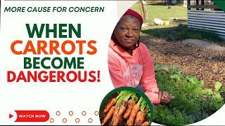 How EATING CARROTS Will Hurt You!