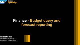 Budget Queries & Forecasting in SAP Business ByDesign