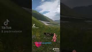 Ромит канаск
