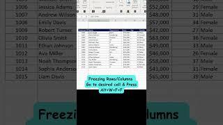 Mastering Excel: Unlocking Efficiency with Freezing, Line Deletion, and Addition Shortcuts