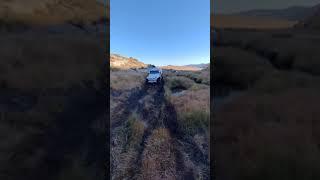 Jeep hitting the mud#shorts #jeepadventures #offroad