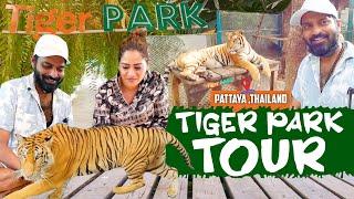 Tiger Park Tour in Thailand | Mr Makapa