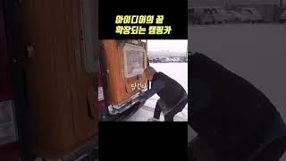 직접만든 확장되는 스타리아 캠핑카 클라스