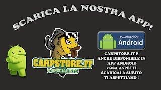 CarpStore.it