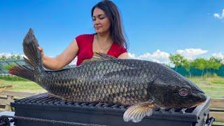 3 Dishes from Huge 10KG SAZAN Here's how to cook fish unforgettably tasty