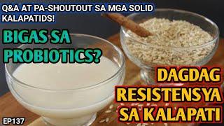 Q&A | PROBIOTICS, CLUB RING, TAMANG PATUKA, RESISTENSYA NG KALAPATI AT IBA PA