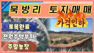 내수읍 묵방리 토지매매 가격인하!!!(구해줘 삼성 부동산Tv)