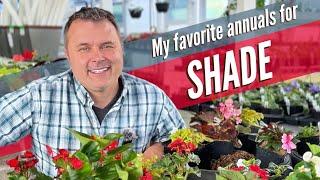 Planting Containers for Shade… I’m Including My Favs