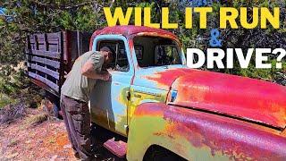 ABANDONED Dodge Cattle Truck Stuck For Almost 50 Years!  Will It Run & Drive Back Home?