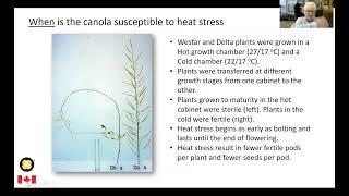 Heat and Moisture Stress - Malcolm Morrison, Agriculture and Agri-Food Canada (AAFC)