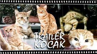 Trailer Kocak - Kocheng Orenz