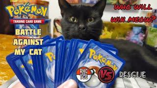 Having a Pokemon TCG Battle with My Cat... Sort of