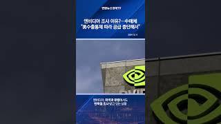 엔비디아 조사 이유…中매체 "美수출통제 따라 공급 중단해서"