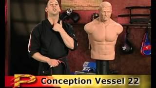 Scott Rogers Volume 2: Fundamentals of Pressure Points: Head, Neck and Torso part 2