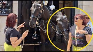  HORSE shows Tourist WHO'S THE BOSS.  DON"T TELL ME OFF!!