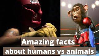 Amazing facts, why humans are better than animals | Funny facts | Tops