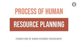 The Process of Human Resource Planning