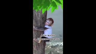 Ты станешь сильнее!  #психолог  #психология  #юмор  #психотерапия