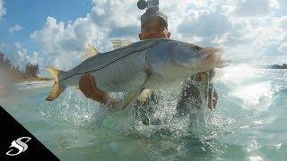 GIANT Snook Fishing in The West Coast SURF!