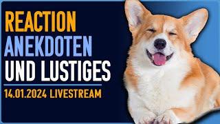 Fun Stream - Reaction auf lustige Hunde