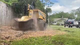  Welcome to Robert The Stump Man's Stump Grinding Services in Jacksonville, Florida! 