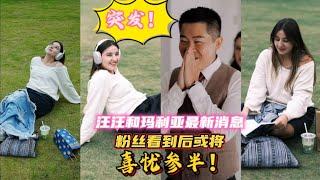 突发！汪汪在亚美尼亚最新消息，粉丝看到后或将喜忧参半！