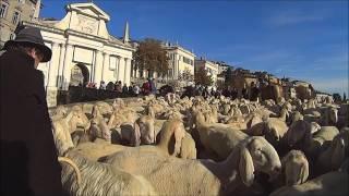 Transumanza sulle mura di Bergamo