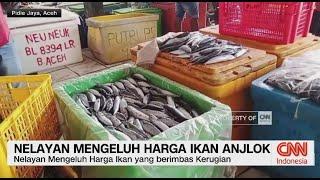 Harga Ikan Anjlok, Nelayan Mengeluh