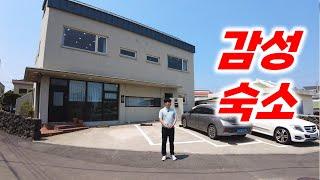 제주도 동쪽의 가장 핫플레이스 H-535 거주 하기도 숙박업 하기도 한달살기 하기도 너무 좋습니다