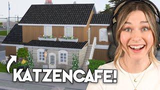 The big renovation at the CAT CAFE in The Sims 4! | simfinity