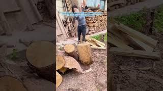 Axe Appeal: Watch This Wood-Chopping Beauty Split Logs Like Butter!