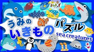 【子供向け 水族館アニメ】海の生き物パズルに挑戦！サメ イルカ ペンギンなど17種類のいきものとおさかなさんが登場するよ【海の生き物 知育動画】Sea Animal Puzzle for Kids