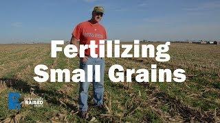 Fertilizing Small Grains