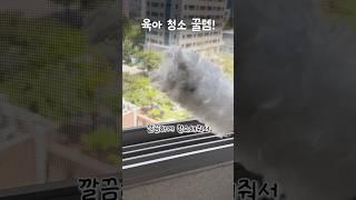육아 청소 쿠팡 꿀템! #내돈내산 #육아용품 #육아꿀템 #육아정보 #쿠팡꿀템