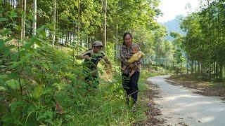 Abusive husband accidentally meets single mother again after many days of being chased away