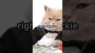 "Richer Than You? Meet the World's Wealthiest Cat! " #shorts #shortsfeed #cats