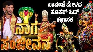 ನಾಗ ಸಂಜೀವನ | ಯಕ್ಷಗಾನ | NAGA SANJEEVANA | KANNADA YAKSHAGANA | PAVANJE MELA | PATLA SATISH SHETTY