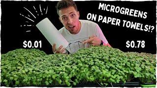 Can Paper Towels Grow Microgreens Successfully? | Coco Coir vs Paper Towel