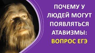 20. Почему у людей могут появляться атавизмы: вопрос ЕГЭ