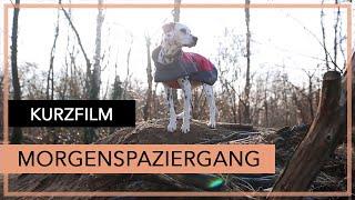 Morgenspaziergang - Kurzfilm