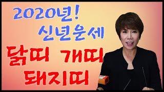 2020년 신년운세! 닭띠 개띠 돼지띠의 나이별 모든것 [인천점집]